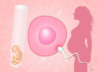 生孩子不需要女人?人造子宫再突破,我们离“生育工厂化”有多远
