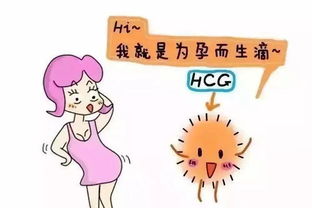 免疫性不孕,很难怀上宝宝 关于免疫性不孕的那些事