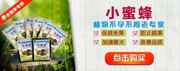 【产品】《小蜜蜂》的使用说明及产品介绍-植物不孕不育老专家