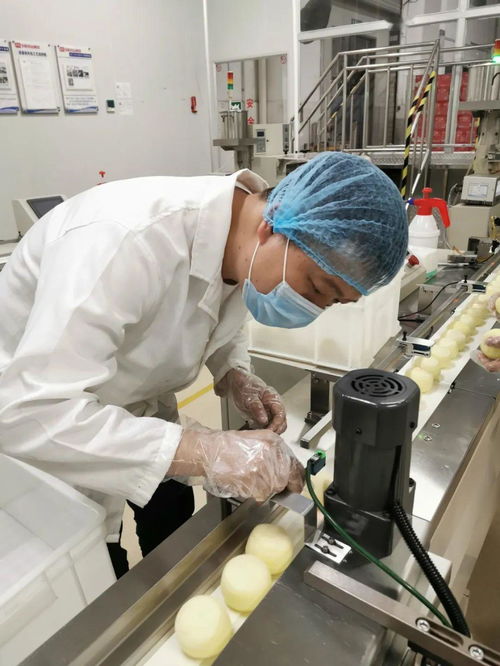 就是现在 盼盼食品长汀工厂直播首秀,百万红包雨等你来抢