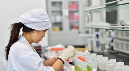 长春金赛药业股份:追求卓越 在国际竞争中勇攀高峰