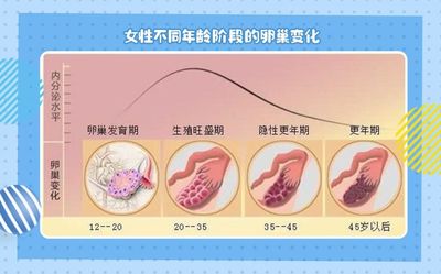养好体内两朵花,终身保持"少女感"