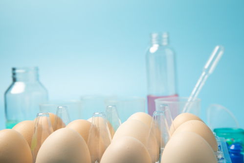 无菌鸡蛋食品安全农业科技食品培育摄影图 插画 下载至来源处