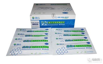 新赛亚生物:已上市12款POCT产品,应用量子点技术创新研发首款幽门螺旋杆菌分型试剂
