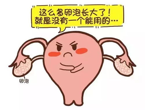 检查正常却不孕,可能你排了个 假卵