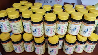 包邮 专业治疗雌 雄鸽不孕不育症 速蛋宝产品展示