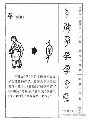 说文解字话不孕,我到底是哪的病?