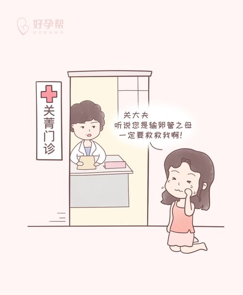 输卵管奇遇记之不要乱动我的输卵管
