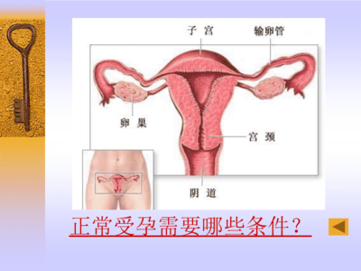 a不孕症妇女的护理 ppt课件