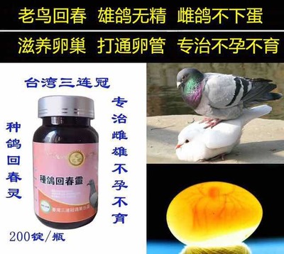 种鸽回春灵产品展示--中信网鸽业大全