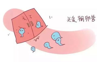 原来这些会导致不孕 你真的知道吗