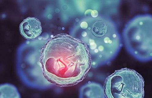 孕脉健康俄罗斯试管婴儿 不孕不育的原因是什么 你可能经常犯这5个错误