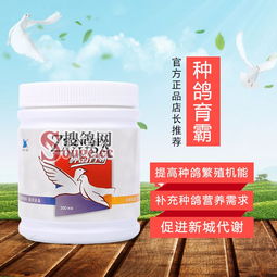 种鸽调理中极容易忽视的问题 不孕症的预防与应对