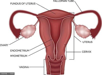 常做妇科检查可防女性不孕与常用外治疗法